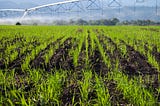 US Releases First National Action Plan on Responsible Business Conduct