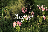 August ; to life for the hope it all.