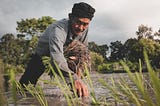 Supporting the smallholder farmers across the world