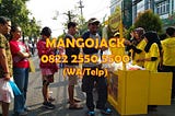 MURAH !!!, WA/Telp : 0822 2550 5500, Waralaba Minuman Dingin