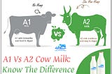 A1 Vs A2 Cow Milk: Know The Difference