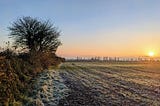 A photograph of a frozen field in the evening sun