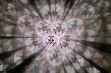 How to Make Your Own Kaleidoscopic Life
