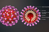 Exploratory Data Analysis on Corona Virus Dataset