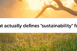 But, what is Sustainability?