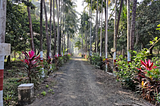 Vipassana 2025