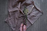 Energetic Housekeeping: Techniques for Cleansing and Blessing Your Home