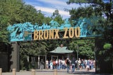 Zoos Are Ethical