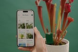 Unveiling the Mystery: Top Sensors to Monitor Your Plants Every Need