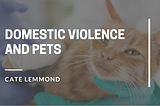 Domestic Violence And Pets