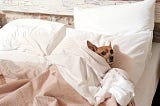Hotel, Motel, Holiday Inn and Airbnb