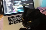 Cat sitting in front of computer with open code editor.
