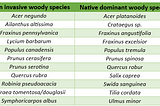 Invasive alien woody plants: Are they such a big problem?