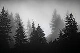 Black and white image of dark, foggy forest
