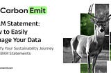 CBAM Statement: How to Easily Manage Your Data