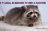 Is it legal in Missouri to own a raccoon?