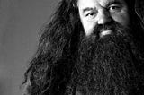 What I Learnt From Hagrid