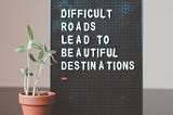 Plant beside sign that says ‘Difficult roads lead to beautiful destinations’.