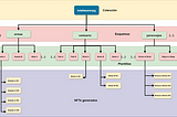 AtomicAssets: Estructura del estándar de NFT más popular de la blockchain.