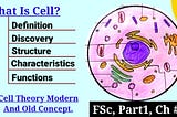 What Is Cell? Cell Structure, Functions, Characteristics, Types, And Cell Theory