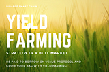 My yield farming strategy on BSC in a bull market