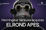 Announcement: Elrond Apes Acquired By Morningstar Ventures