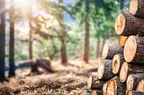 Forest residues as bioresources in circular bioeconomy