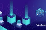 VENODES | VECHAINTHOR İÇİN DÜĞÜM ÇÖZÜMÜ