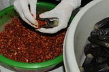 Makdous … unwritten eating code of Syrian households
