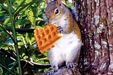 The Squirrel Strikes Back: Analysis of the newly emerged cobalt-strike loader “SquirrelWaffle”