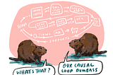 Beavers creating the causal loop masterplan