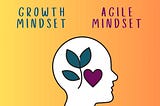 Beyond the Hype: Growth Mindset and is it the same as Agile Mindset