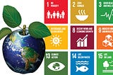 Sustainable development and how to improve on it