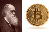 Bitcoin: The Next Wave — An Evolutionary Perspective