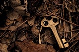 Old key on dead leaves