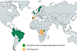 Business during the pandemic and building back green