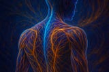 The Quiet System Inside Us: What Fascia Reveals About Movement, Pain, and Inner Intelligence