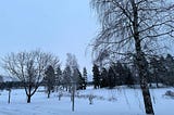 Vipassana na Finlândia: uma experiência meditativa entre o lixo e a neve.