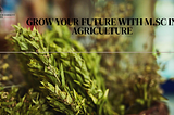 Cultivating Success: Pursuing an M.Sc. in Agriculture