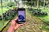 A review of Yejide Kilanko’s Daughters who have walked this path.
