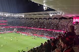 The scene following WSW’s second goal. The WSW players are all in a huddle on the edge of the 18 yard box and most of the crowd around are on their feet celebrating the goal (and the now near certain win).