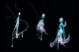 Seeing like a Siphonophore: vertical migration above and below