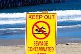 My Favorite Beach is an Ecological Disaster