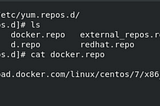 Configuring Httpd Server and Setting Up Python Interpreter on Docker Container