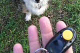 Why clicker training is perfect for programmers (and their dogs)