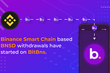 BNSD update: Binance Smart Chain transfers have started on BitBns