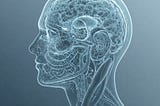 The 2 x 2 Model of Consciousness