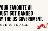 Your Favorite AI Just Got Banned by the US Government. This Is Why I Self-Host.