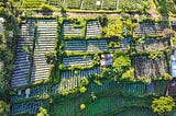 Case study: Finding a way to ensure food sustainability for all