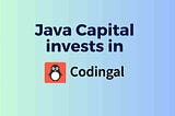Why we invested in Codingal ?